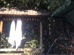 -仁爱团泊湖温泉中心