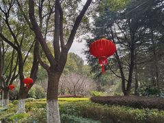 -昆山城市生态森林公园