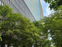 -涩谷全向十字路口