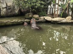 -宁波野生动物园