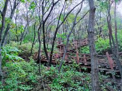 -大岭沟猕猴桃谷风景区