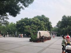 -文瀛公园