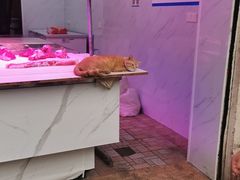 -葑门横街