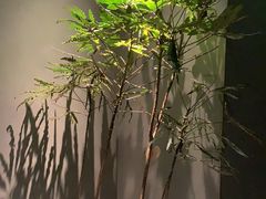 -望京辣宴·古法川菜(望京店)