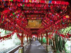 -曼听御花园