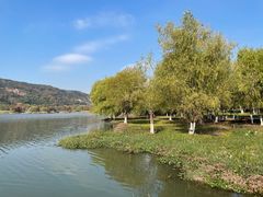 -长广溪湿地公园
