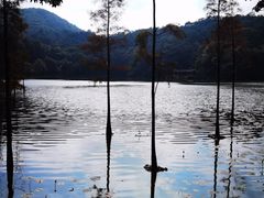 -广州市石门国家森林公园