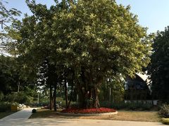 -人民公园(罗湖区)