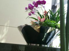 -京基滨河时代广场