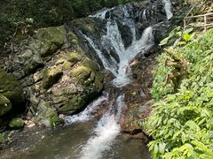-莫里热带雨林景区