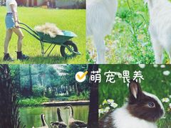 -桃园农庄·桃源宴