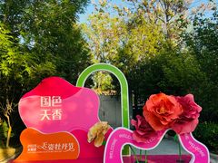 -太阳宫公园