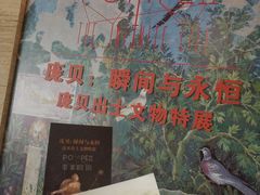 -盘龙城国家考古遗址公园