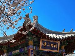 -桃花堤公园