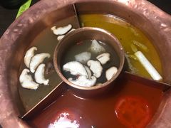 -老诚一锅羊蝎子(黄寺大街店)