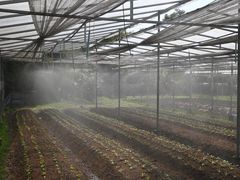 -Ohkajhu Organic Farm Sansai