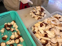 -菌自由丨野生菌火锅特色庭院餐厅(丽江古城店)