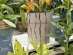 -国家植物园南园