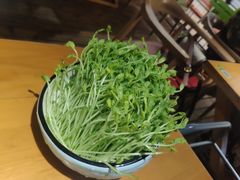 -洪氏嗨捞·广东猪肚鸡·椰子鸡火锅(西咸万象城店)