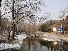 -白水寺森林公园