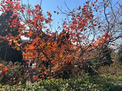 -北京十三陵国家森林公园蟒山景区