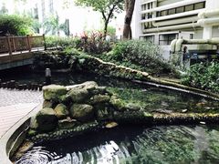 -香港大学