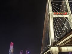 -武汉知音号