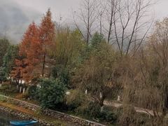 -仙霞关景区