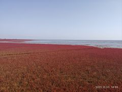 -红海滩国家风景廊道