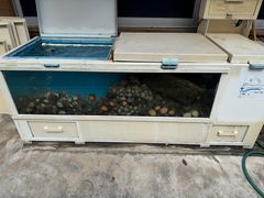 -真情鲍鱼海鲜汤