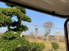 -武汉紫薇都市田园