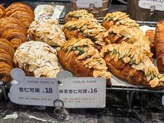 -TD66高山铁皮石斛养生茶饮