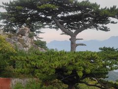 -圣莲山风景区