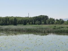 -野鸭湖国家湿地公园