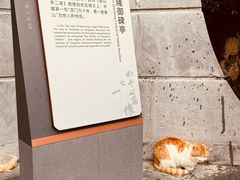 -龙门石窟-香山寺