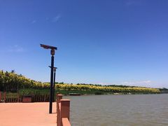 -天津东丽湖风景区