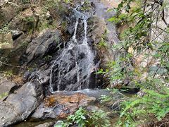 -梧桐山风景名胜区