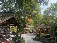 -青城甲(青城山店)