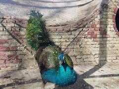 -北京鹿世界主题园