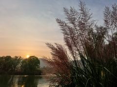 -长广溪湿地公园