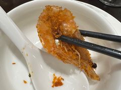 -四季春