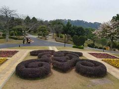 -东莞植物园