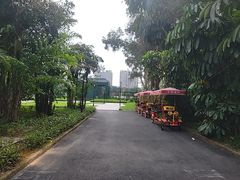 -南沙蒲洲花园