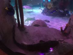 -沈阳海洋探索中心