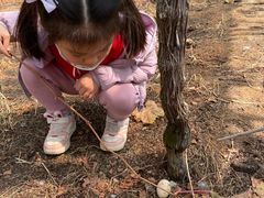 -海堤葡萄园中小学生研学基地