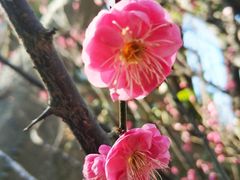 -乌山风景区