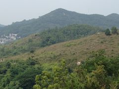 iphone_upload_pic-南丫岛