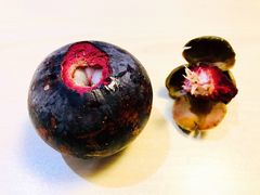 -果多美(三里河店)
