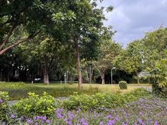 -晓港公园