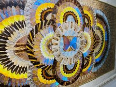 -上海昆虫博物馆